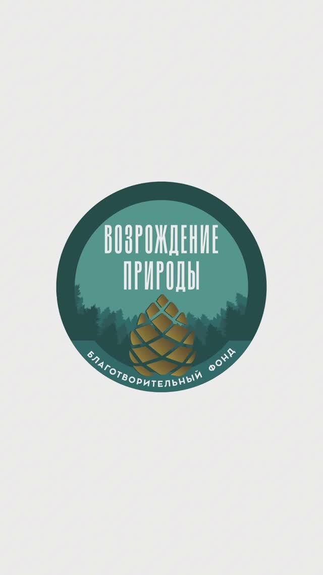 «Экологический компас» стартовал!