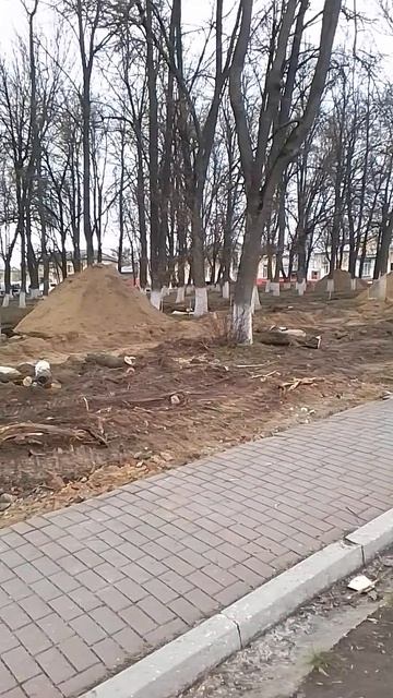 VID_20260419_123409.mp4