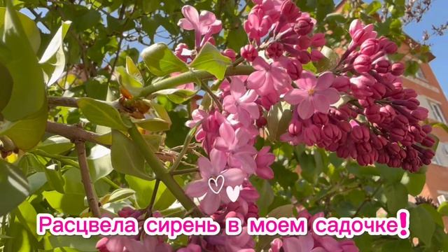 ПОДПИШИСЬ‼️💯😃 Подробности в визитке канала!🩷🥰