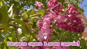ПОДПИШИСЬ‼️💯😃 Подробности в визитке канала!🩷🥰