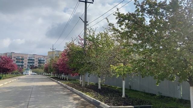 Пагода весенняя