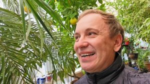 Век живи, век учись ( как подготовить растения к низким температурам)
