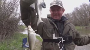 Бешеный Жор Воблы. РЫБАЛКА С БЕРЕГА НА ДОНКИ 2026.