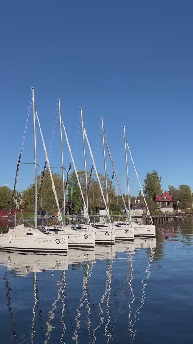 Солнечный день в яхт-клубе Буревестник