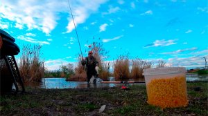 ПОБИЛ РЕКОРД ПО КАРАСЮ !!!!