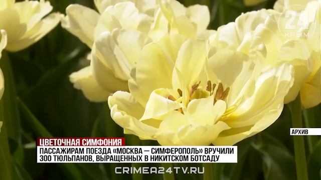 «Цветочные встречи»: на вокзале в Симферополе пассажирам поездов подарили тюльпаны