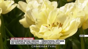 «Цветочные встречи»: на вокзале в Симферополе пассажирам поездов подарили тюльпаны