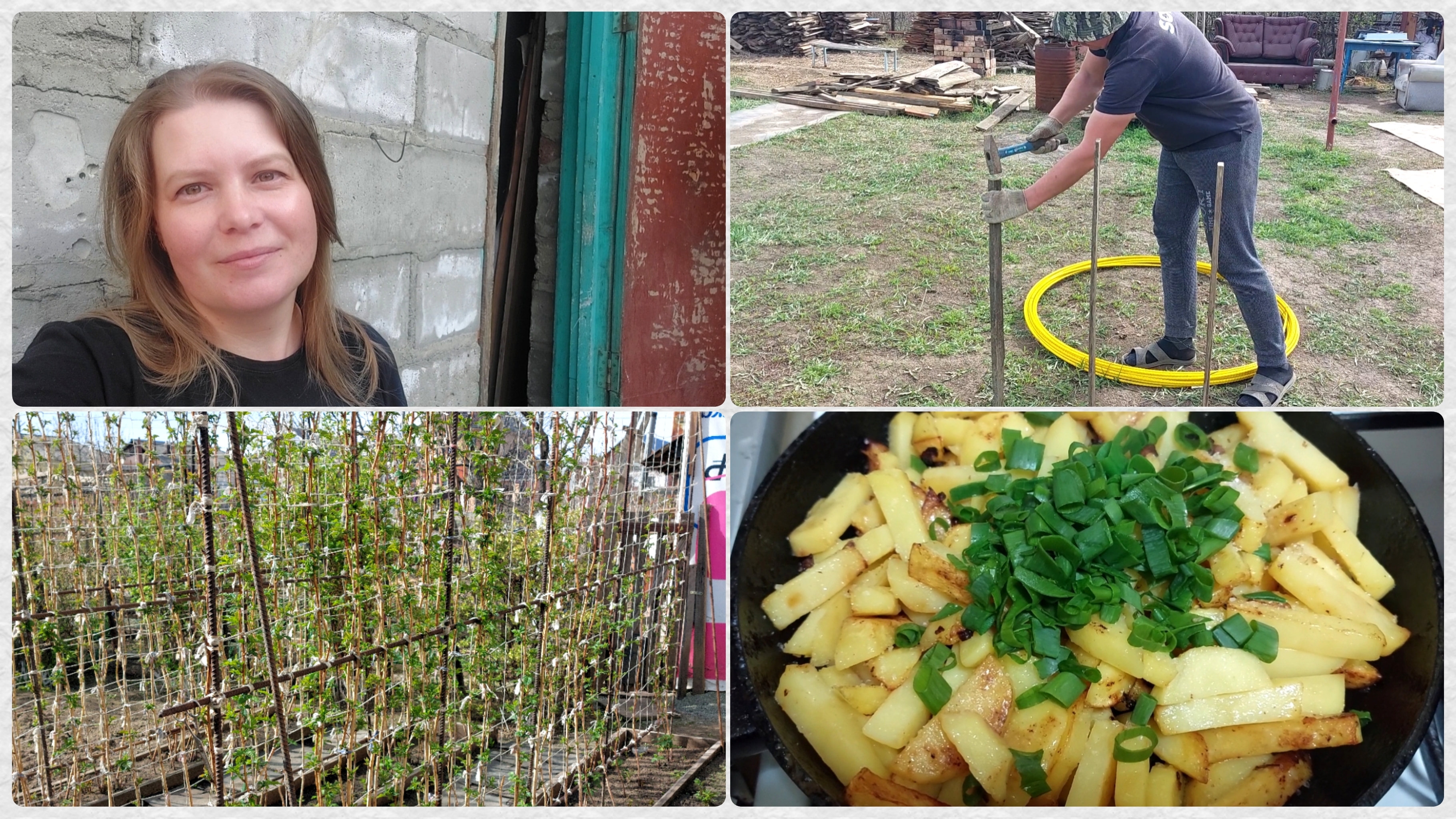 Дачно-разъездной влог 🤪 Готовим прутьи для малины / Борьба со змеёй ))