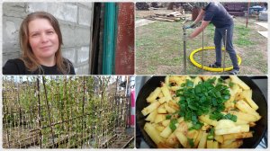 Дачно-разъездной влог 🤪 Готовим прутьи для малины / Борьба со змеёй ))