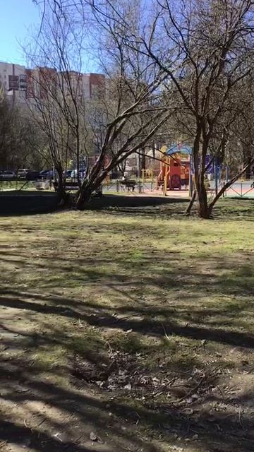 Санкт-Петербург Весенний.  20.04.2026. Проспект Энгельса. Эпизод 4