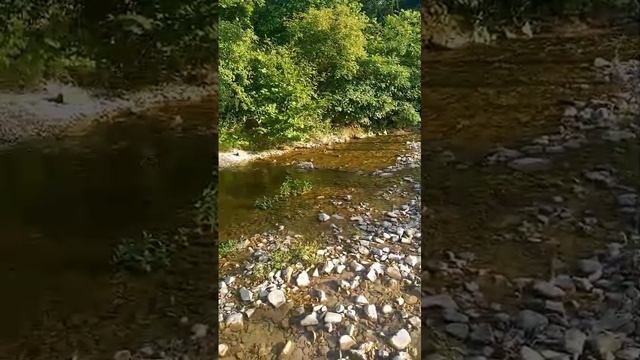 В  гостях у  брата, Архипо- Осиповка