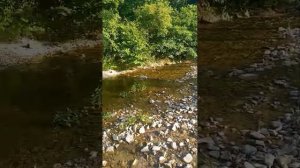 В  гостях у  брата, Архипо- Осиповка