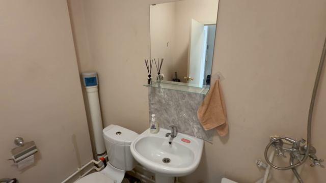 Золотистый 4