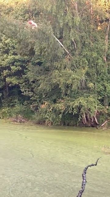 Упссс😁😁😁