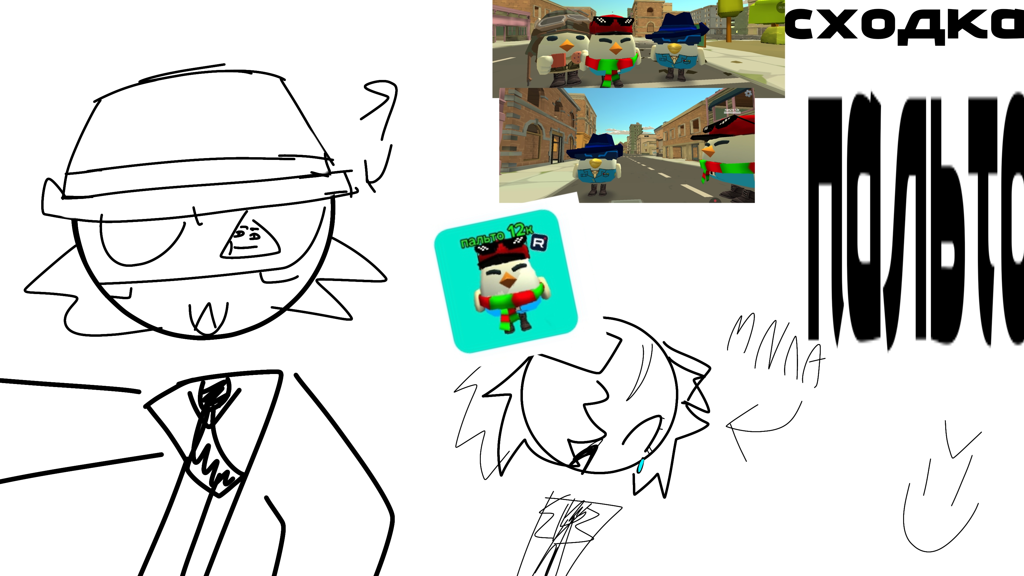 ЧТО БЫЛО НА СХОДКЕ ПАЛЬТО12К