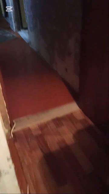 У Виталика всегда все вкусно. Архив, сентябрь 2020 года.