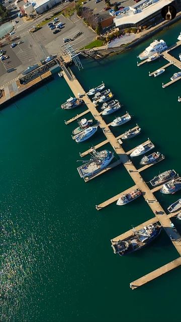 Марина Cap Sante — место, где оживает сердце рыбацкого сообщества. ⚓