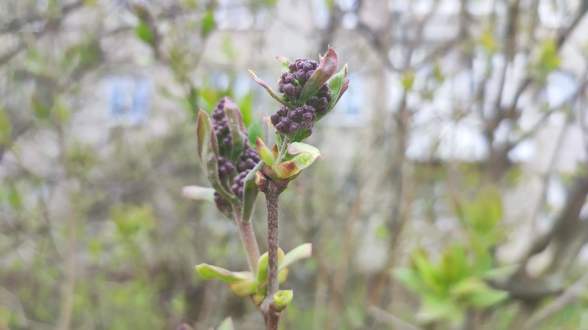 Воскресенье. Важные дела. Гуляем. Что читаю.
