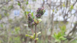 Воскресенье. Важные дела. Гуляем. Что читаю.