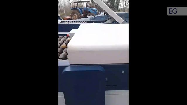 Машина для резки клубней картофеля HG-1000