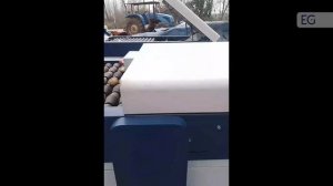 Машина для резки клубней картофеля HG-1000