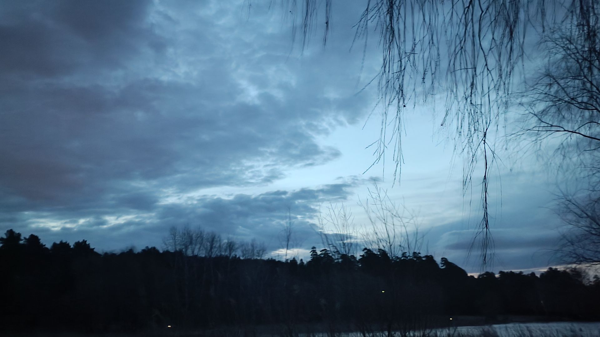 Плотва пошла на нерест