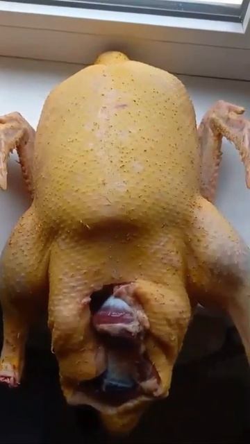 MOV_20260420_112626_728