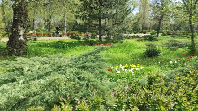 Ростов-на-Дону Парк Левобережный Апрель 2026