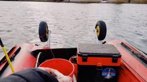 Весенняя плотва на р.Паша