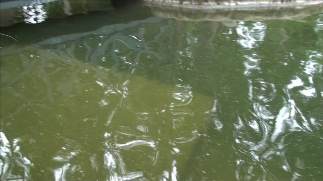 Испытание камеры.Глубина своего пруда при строительстве.