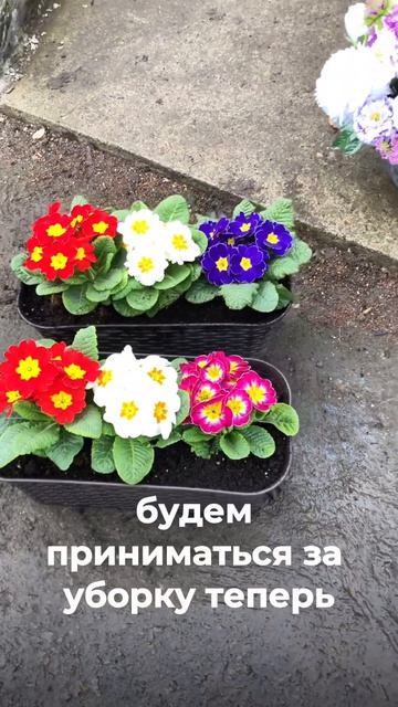 Как я убираю могилу весной!