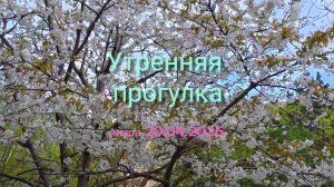 Анапа 20.04.2026 Утренняя прогулка
