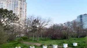 ОДЕССА 20 АПРЕЛЯ 2026. ЗЕЛЕНСКИЙ ОГРАНИЧЕНИЕ СОЦСЕТЕЙ В РФ - ДЛЯ МОБИЛИЗАЦИИ! ЛУКАШЕНКО НЕ ВАССАЛ!