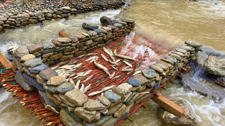 Самые эффективные методы рыбалки.