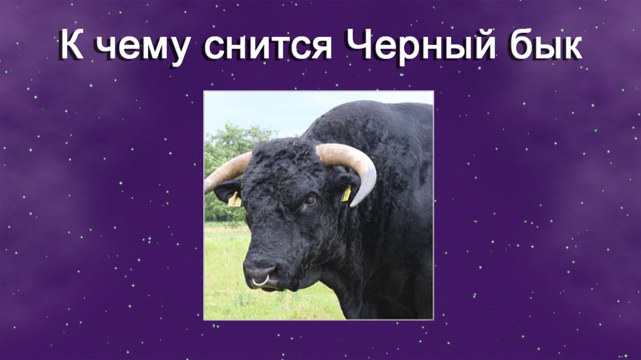 К чему снится Черный бык - толкование сна