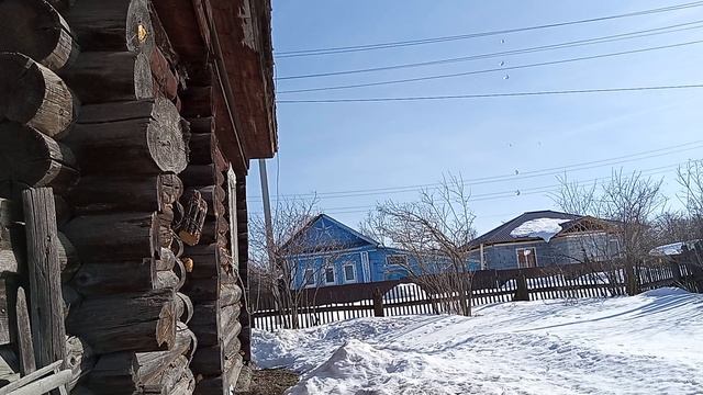 Стряпаю пельмени Пеку кекс  Чищу снег