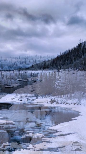 Холодные просторы