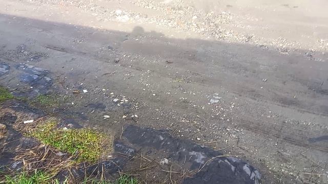 После дождя мир улыбается!