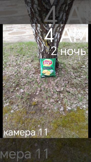 пять ночей с чипсами 2-я ночь