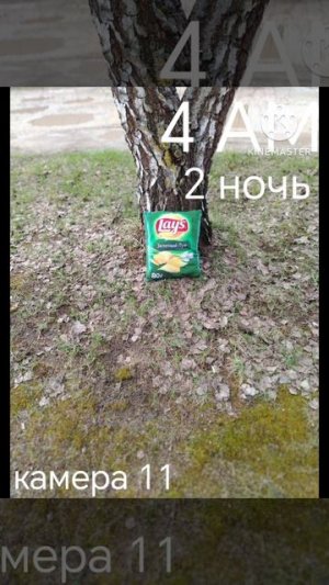 пять ночей с чипсами 2-я ночь
