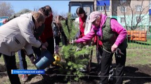В первый день акции «Зеленая Башкирия» в республике высадили 54 новые аллеи