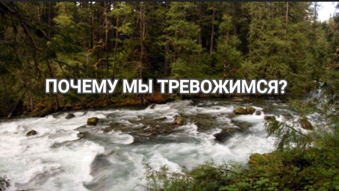 ПОЧЕМУ МЫ ТРЕВОЖИМСЯ
