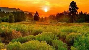 Коран сура  Къаф чтец Мухаммад аль-Факих