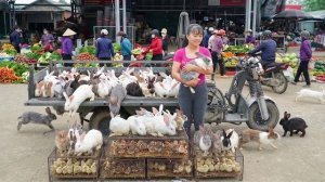Покупаю много кроликов и цыплят у фермерши и везу на трицикле продавать на рынок. Фуонг. Вьетнам