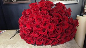 20-04-2026 Дела текущие. Начало огородного сезона