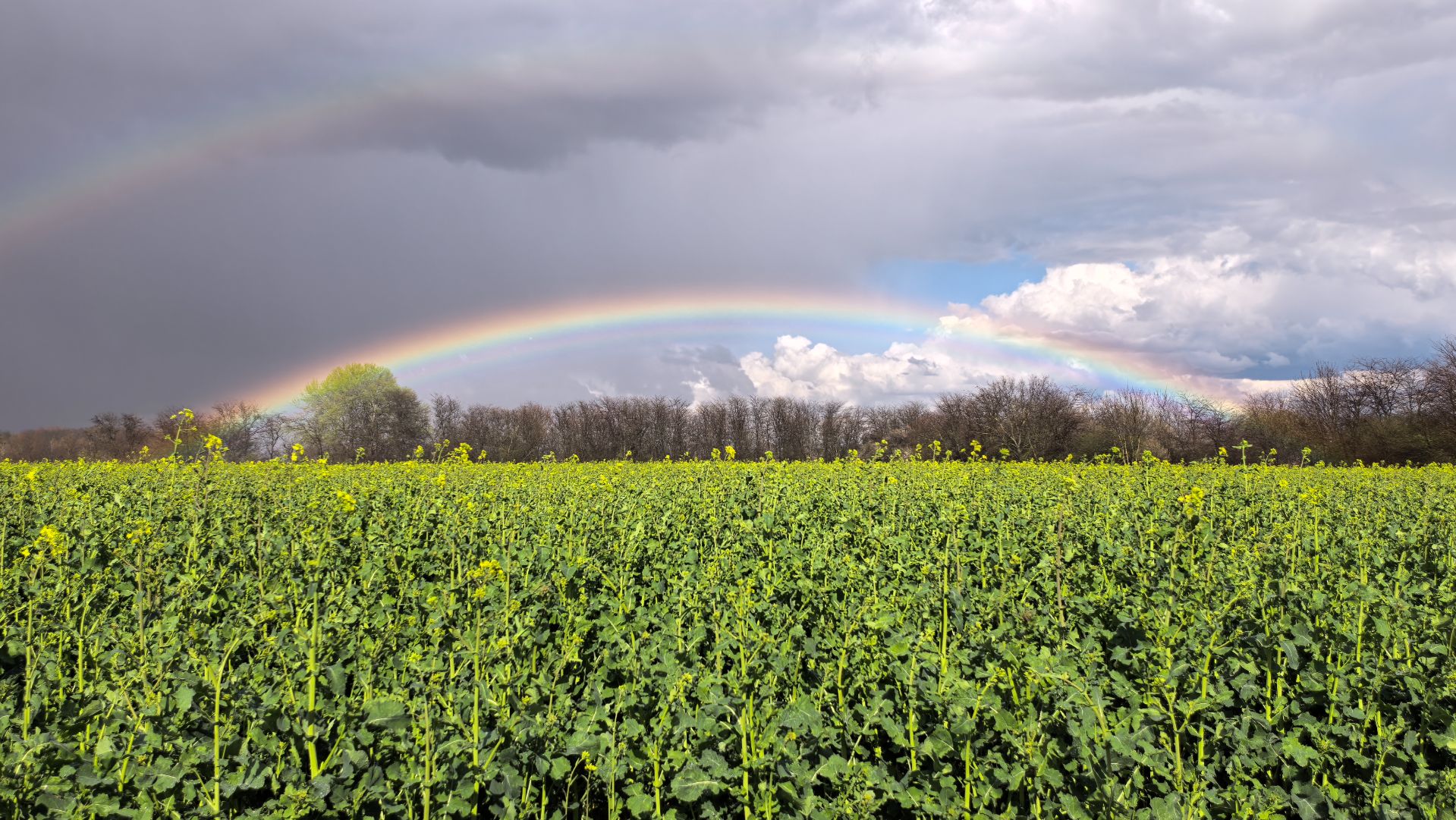 11/04/2026 Рыбалка в новых местах, судак, дождь и красивая весенняя радуга.