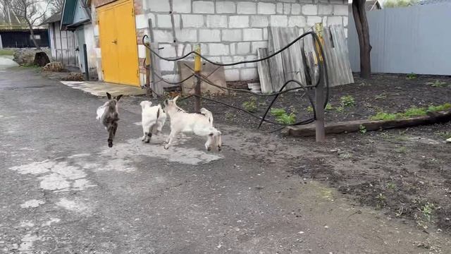 Для меня самое важное в жизни…