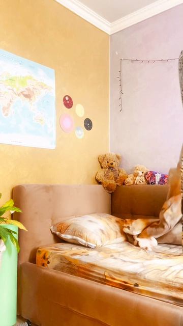 Утренний Vlog🌷