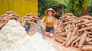 Собрала клубни маниоки, обработала и высушила для продажи и приготовления корма для живонтых. Нхат