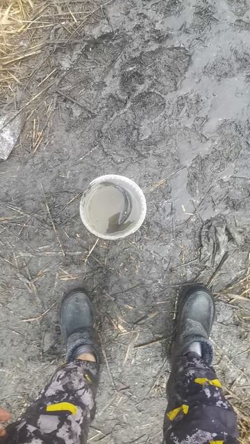 VID_20260419_125442.mp4